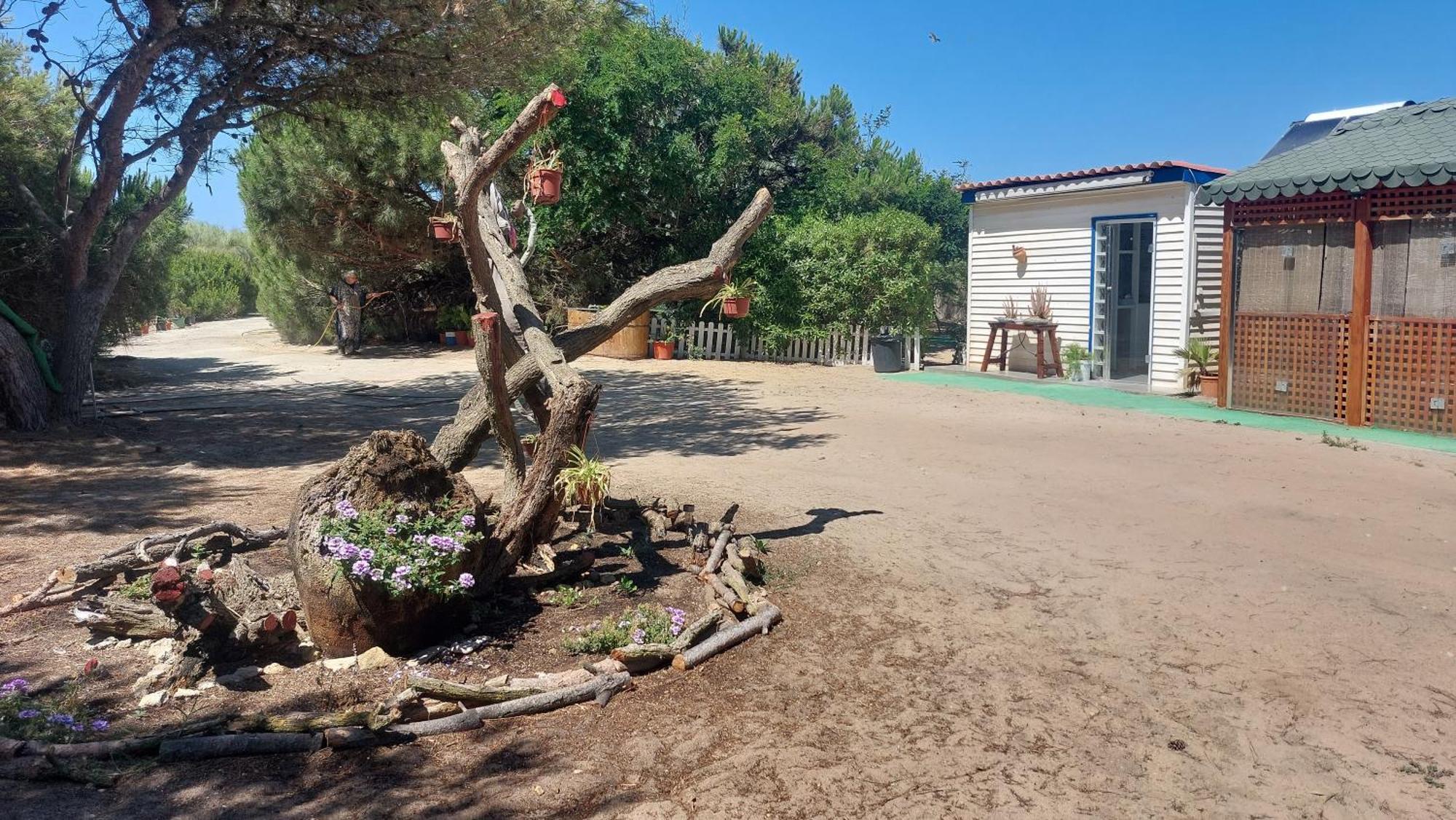 Finca Las Dunas: Beachfront Chalets with Jacuzzis Rota Exterior photo